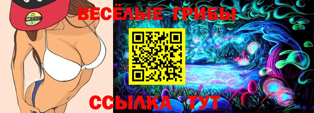 Галлюциногенные грибы Magic Shrooms  Псилоцибиновые грибы MAGIC MUSHROOMS  Вход с VPN  Ипатово 