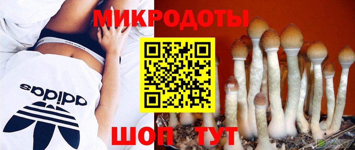 Галлюциногенные грибы прущие грибы Ипатово